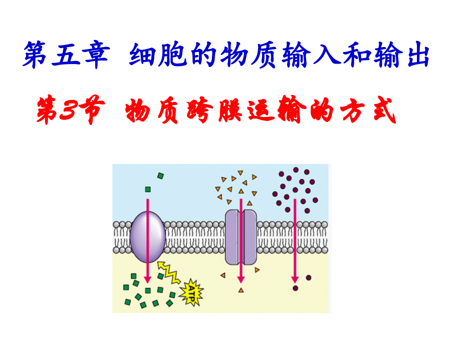 生物必修一物质跨膜运输的方式(优质课).ppt_第1页
