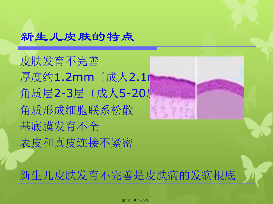 儿童皮肤病之新生儿篇.pptx_第1页