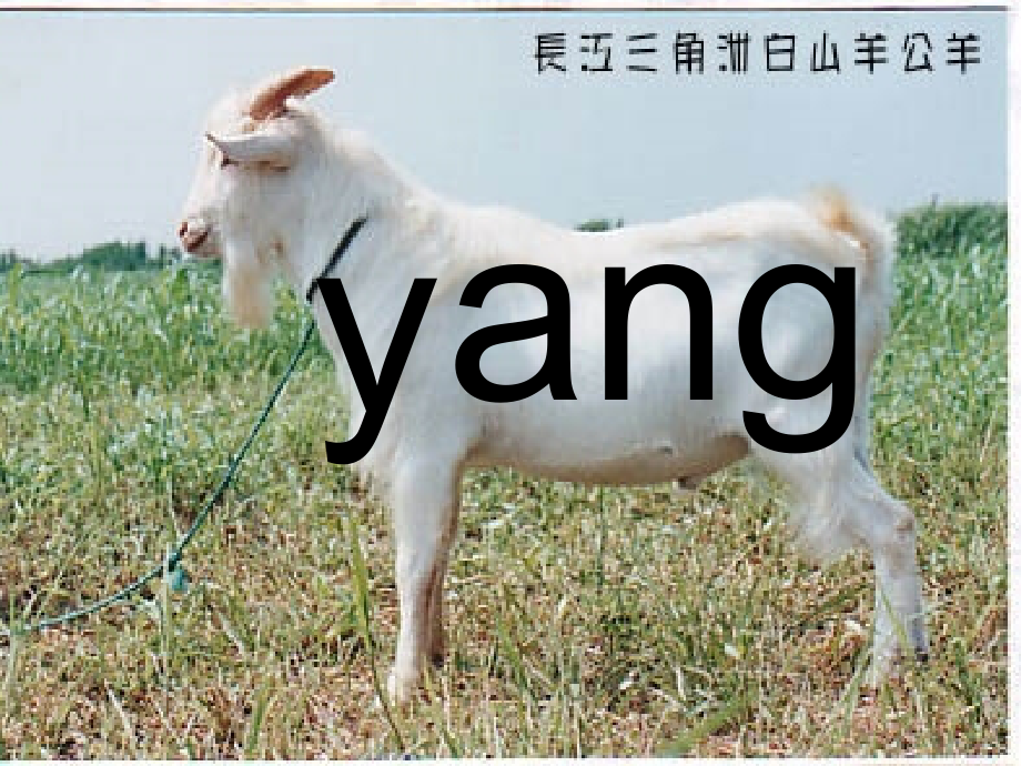 小学语文一年级课件-ang-eng-ing.ppt_第1页
