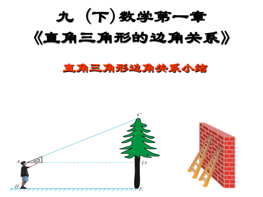 【同步课件】九年级数学下册(北师大版)：第一章直角三角形的边角关系复习课件.ppt_第1页