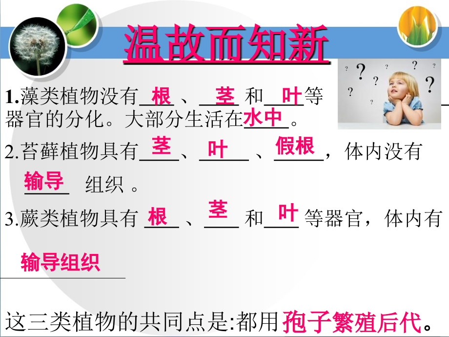 种子结构ppt.ppt_第1页
