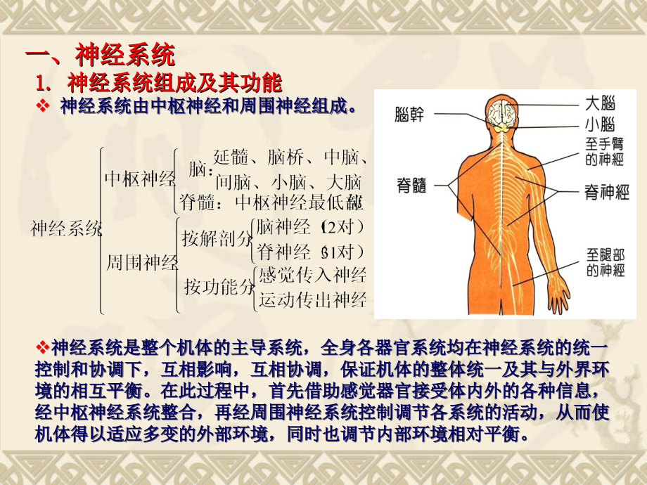 安全人机工程学(3.1).ppt_第2页