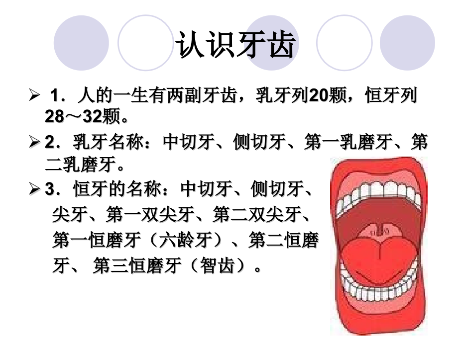 牙齿健康知识.pptx_第2页