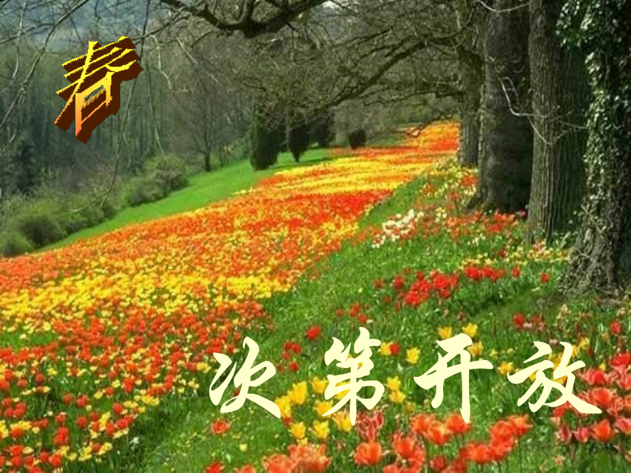 人教版八年级上册语文课件大自然的语言PPT.ppt_第2页