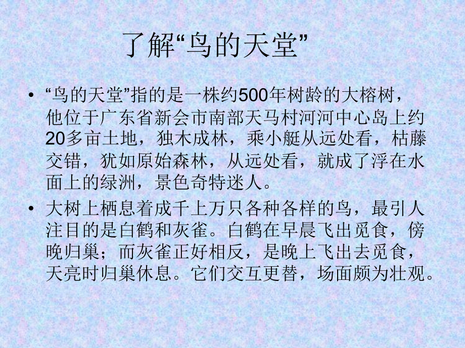 4鸟的天堂.ppt_第2页