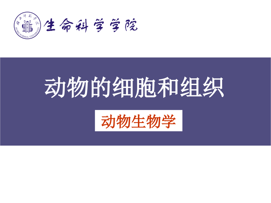 2动物体的基本结构与机能.ppt_第1页