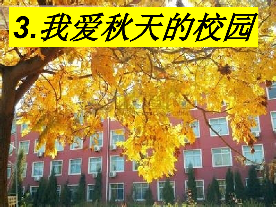 我爱秋天的校园.ppt_第1页