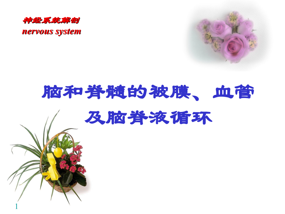 中枢N系统-被膜、血管、循环.ppt_第1页