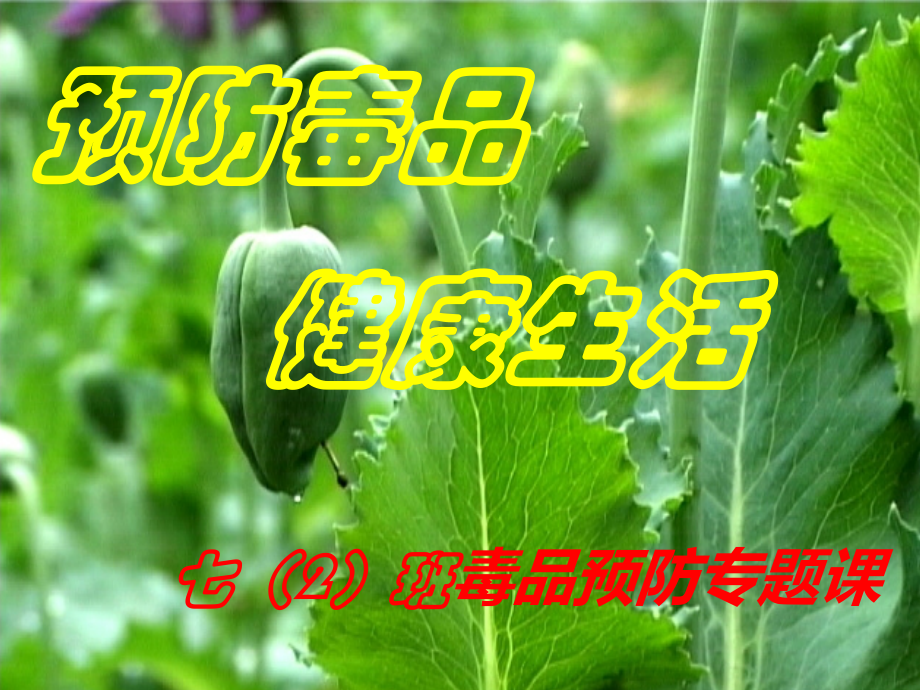(新)青少年毒品预防教育.ppt_第1页