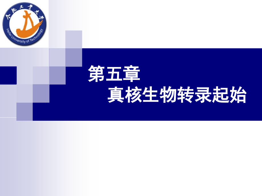 分子生物学-第五章.ppt_第1页