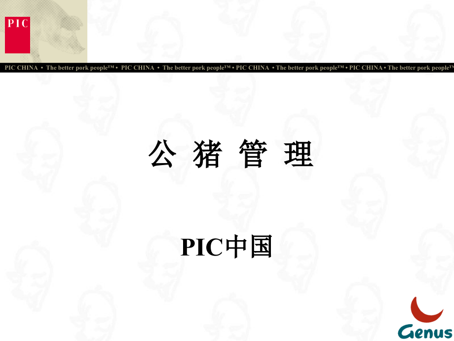公 猪 管 理.ppt_第1页