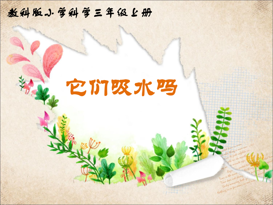 教科版小学科学《它们吸水吗》.ppt_第1页