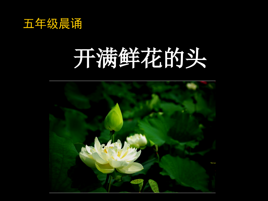 开满鲜花的头.ppt_第2页