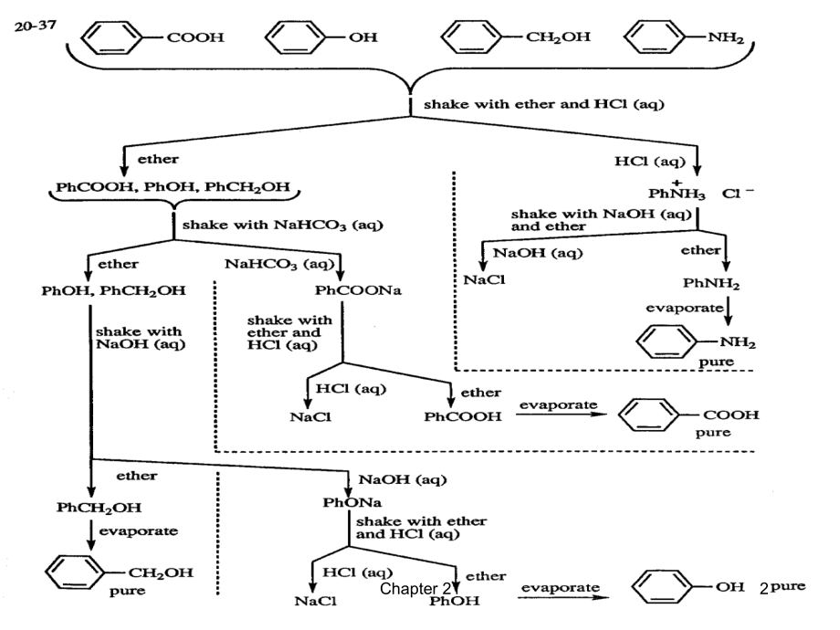 chapter_21.ppt_第2页