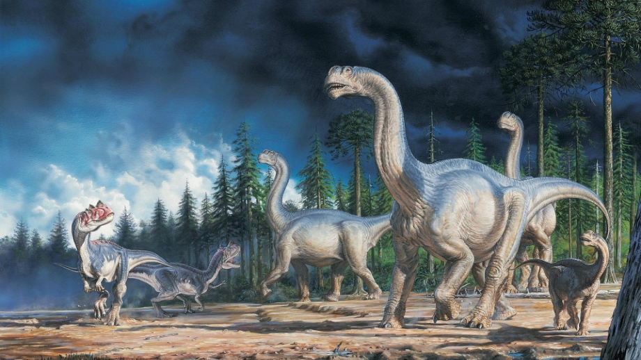 恐龙无处不有-(4).ppt_第2页