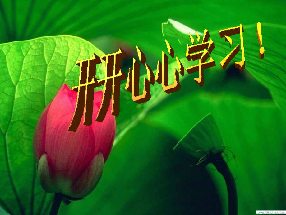 (部编)人教语文一年级下册13-荷叶圆圆.ppt_第1页