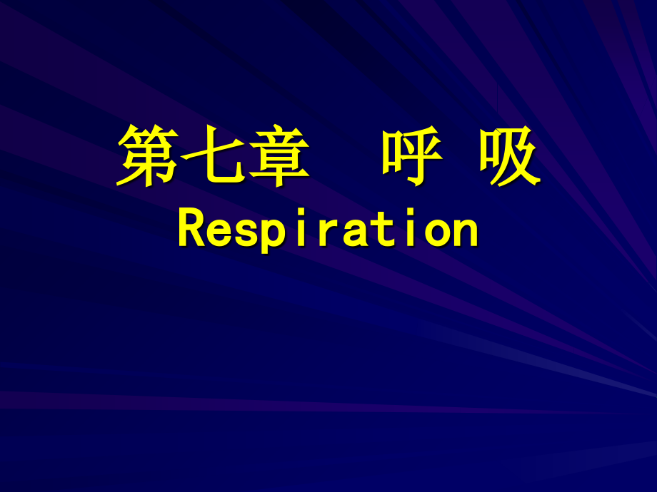 第七章-呼吸系统课件.ppt_第1页