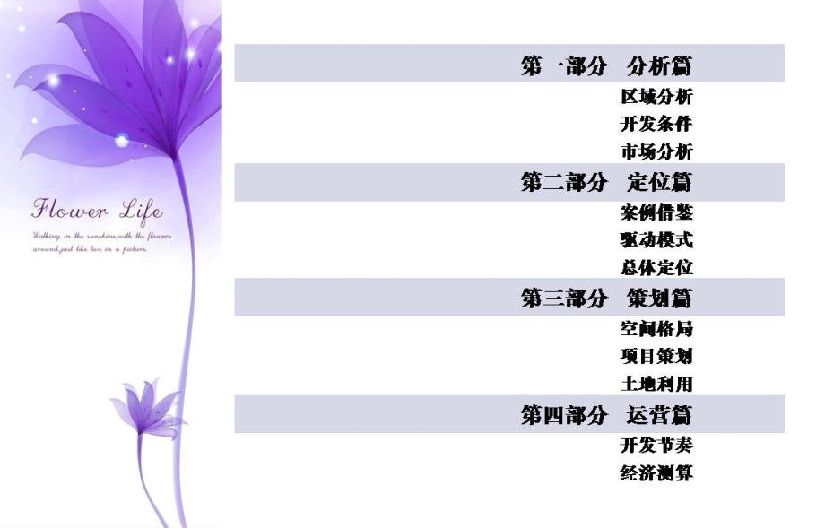 河南鄢陵花都温泉旅游度假区项目总结策划_前期策略.ppt_第2页