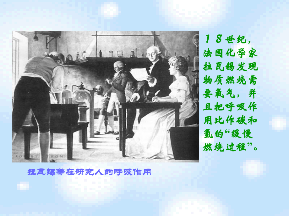 呼吸作用[1][1]概述.ppt_第2页