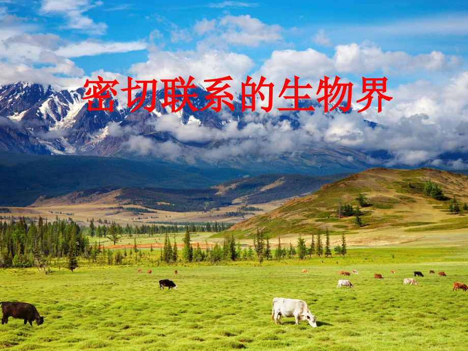 青岛版小学科学课件《密切联系的生物界》.ppt_第1页