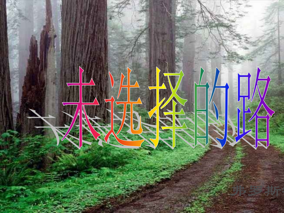 《未选择的路》上课.ppt_第2页