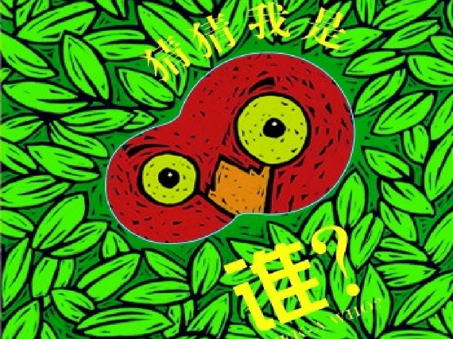 第1节地面上的植物.pptx_第1页