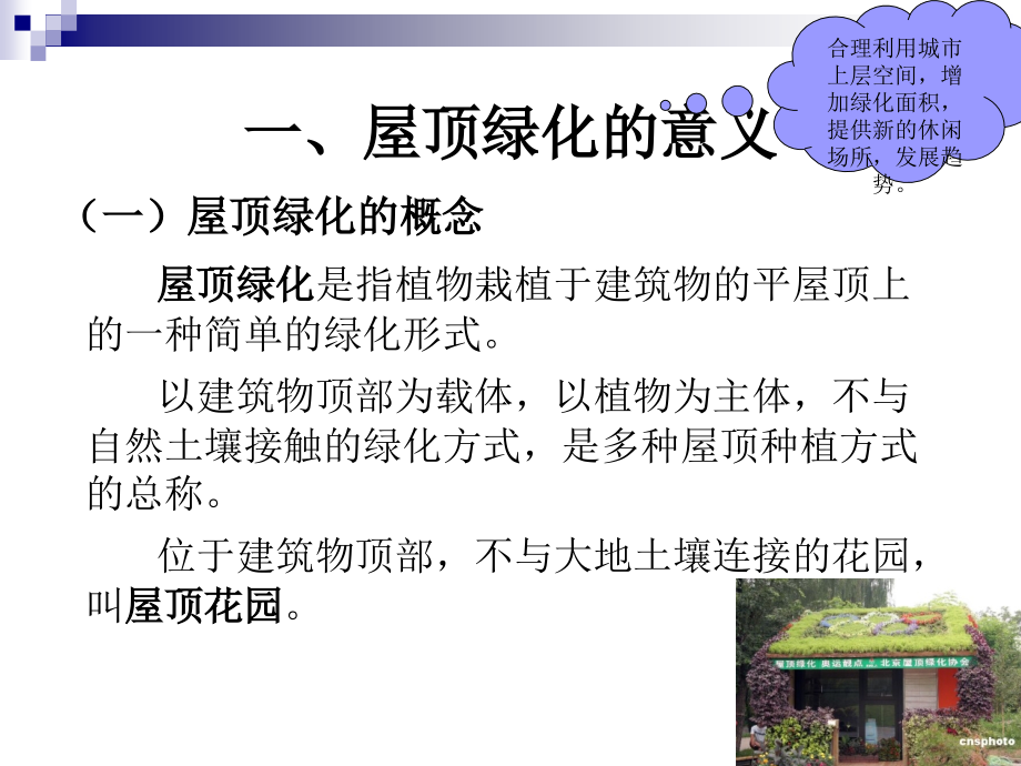 屋顶花园植物的栽植与养护.ppt_第2页