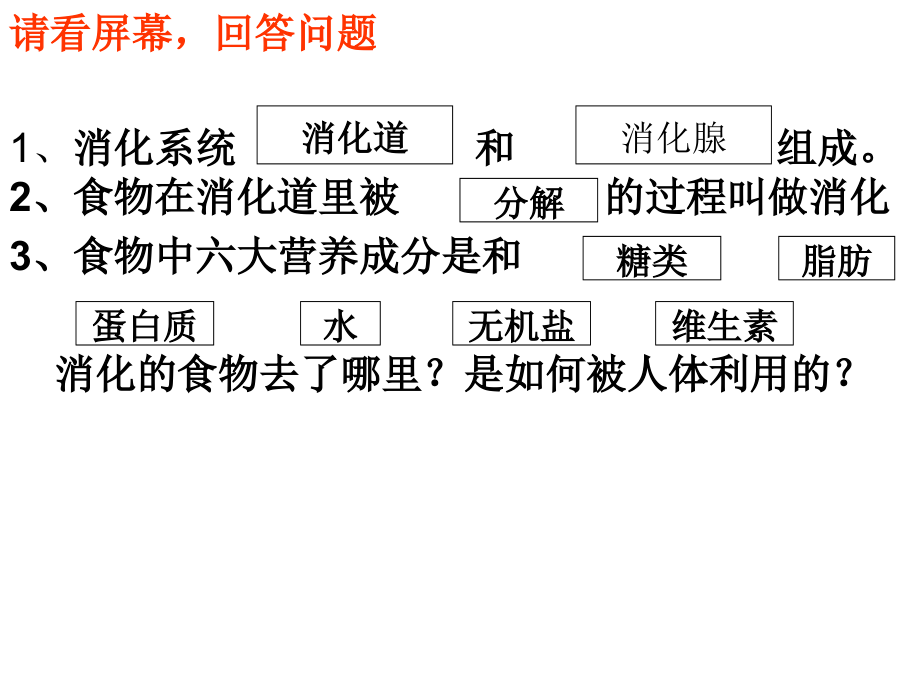第三节营养物质的吸收和利用.ppt_第2页