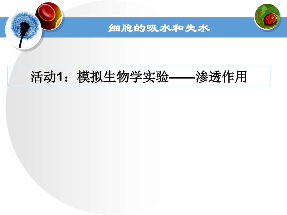 细胞的吸水和失水.ppt_第2页