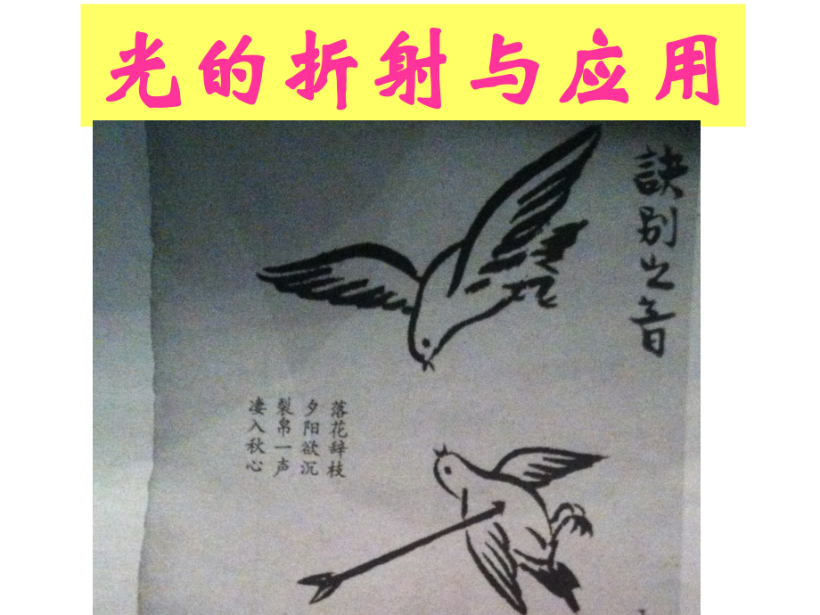 光的折射复习.ppt_第2页