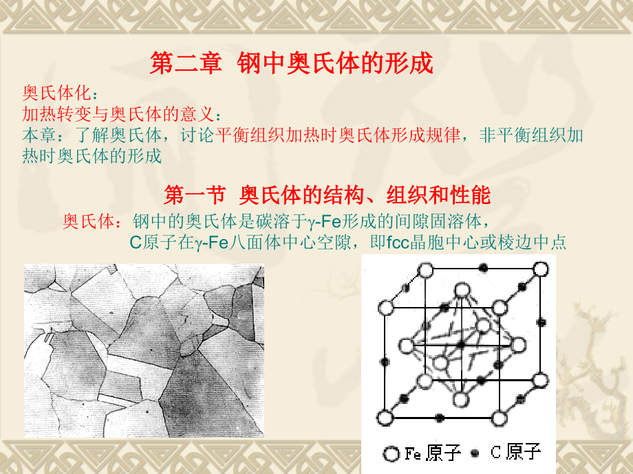 钢中奥氏体的形成.ppt_第1页