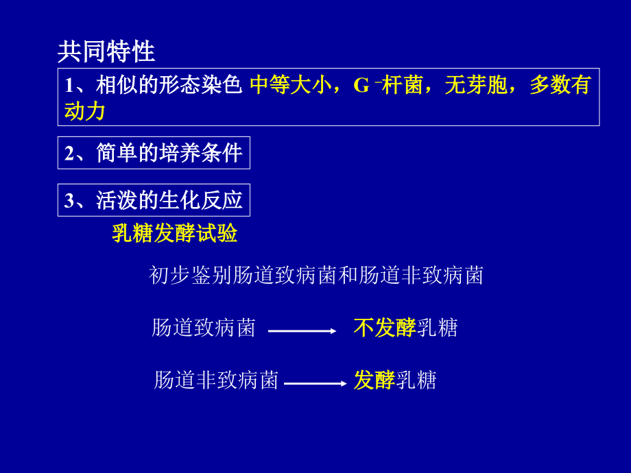 肠杆菌科(Enterobacteriaceae).ppt_第2页