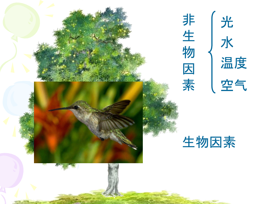 《第二节-生物与环境的关系》课件7.ppt_第2页