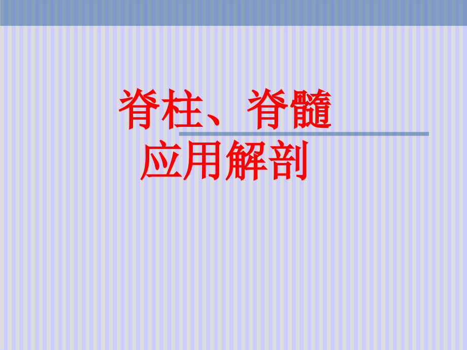 脊柱解剖图课件.ppt_第2页