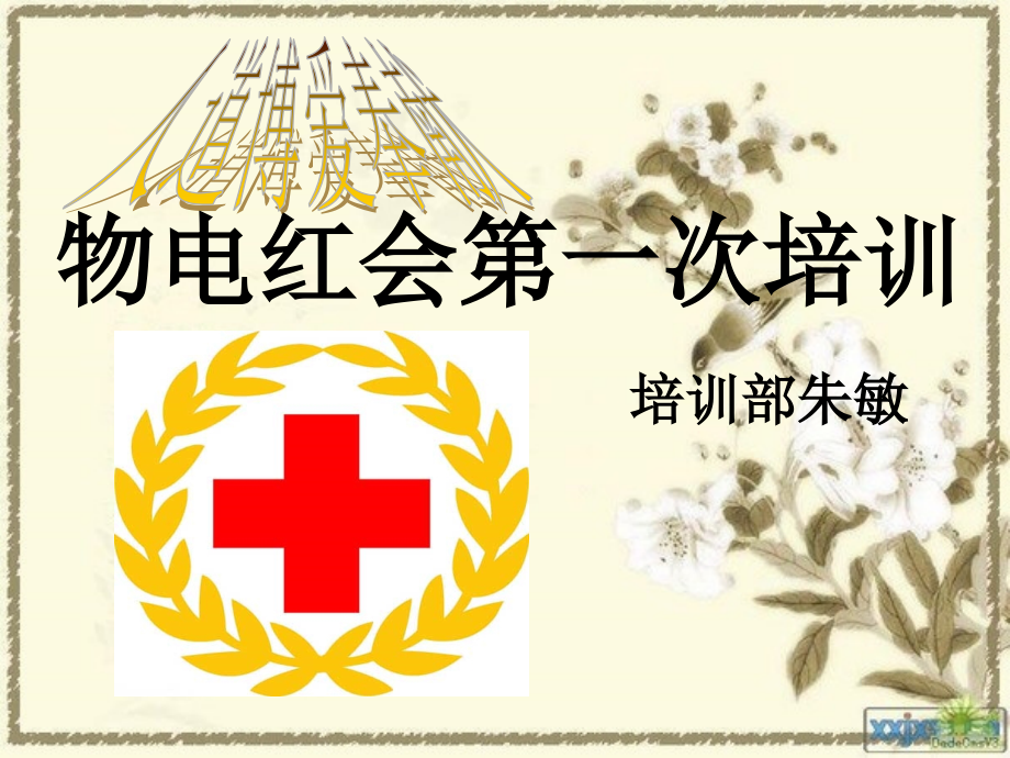 日常药品和受伤处理.ppt_第1页