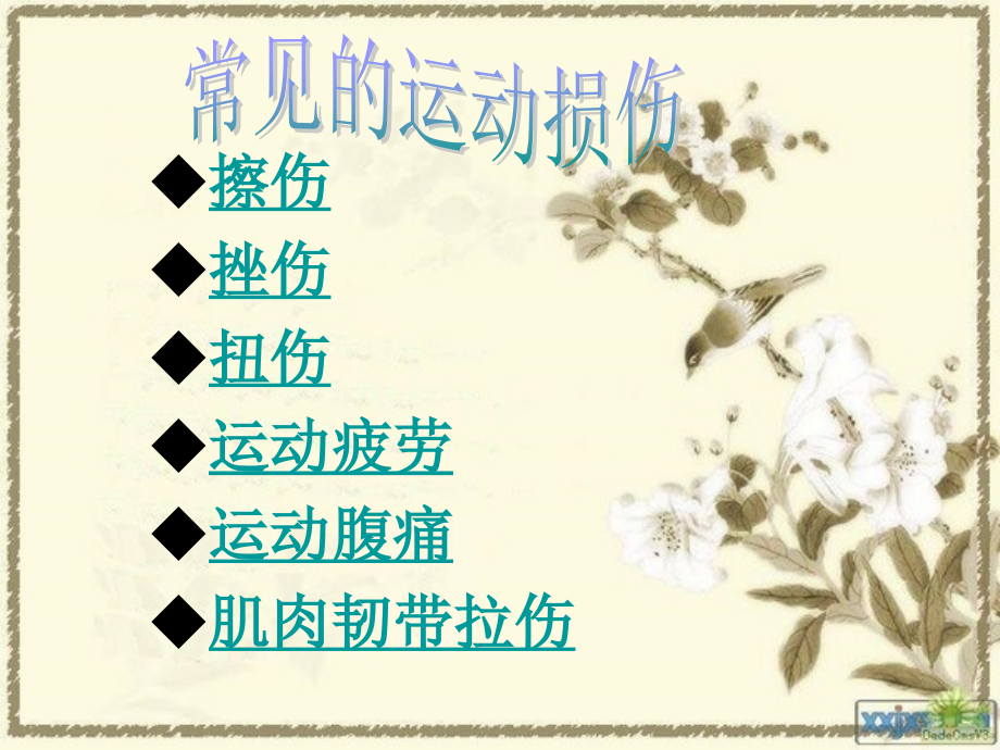 日常药品和受伤处理.ppt_第2页