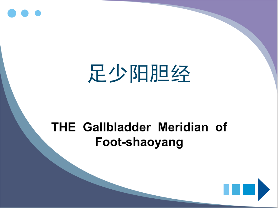 针灸推拿 胆经穴.ppt_第1页