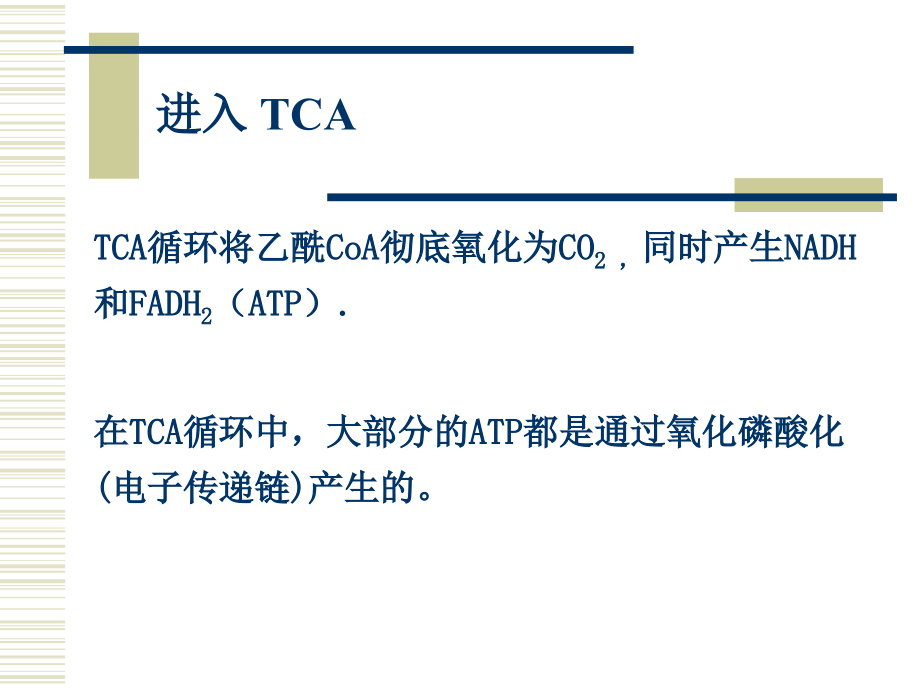 丙酮酸脱氢酶系(多酶复合物).ppt_第2页