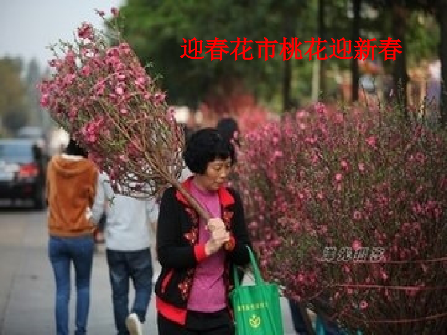 《桃夭》课件.ppt_第2页