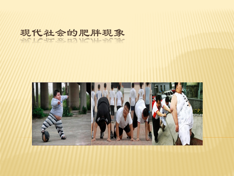 肥胖的成因与预防纠正.pptx_第2页