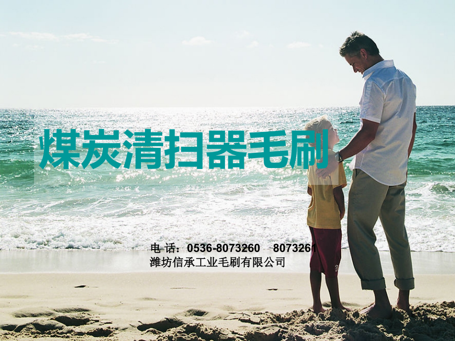 煤炭清扫器毛刷.ppt_第1页