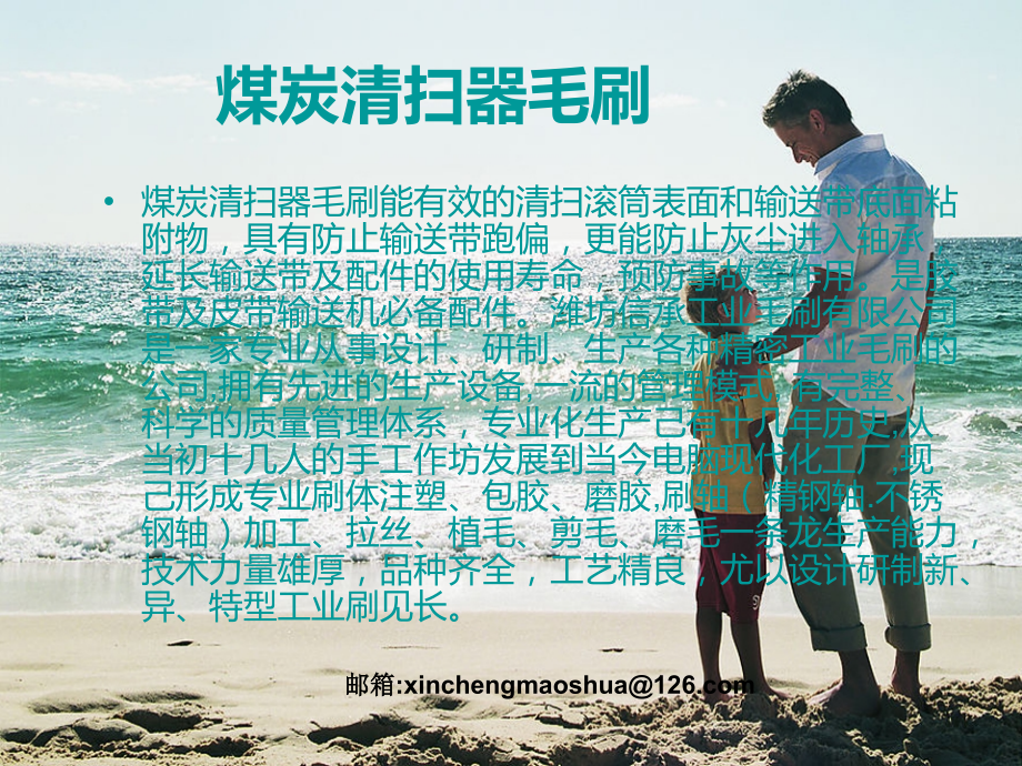 煤炭清扫器毛刷.ppt_第2页