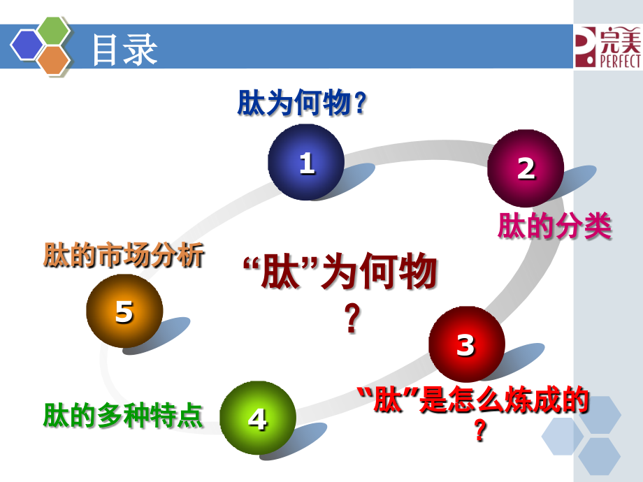 保健食品讲师培训(肽为何物？).ppt_第2页