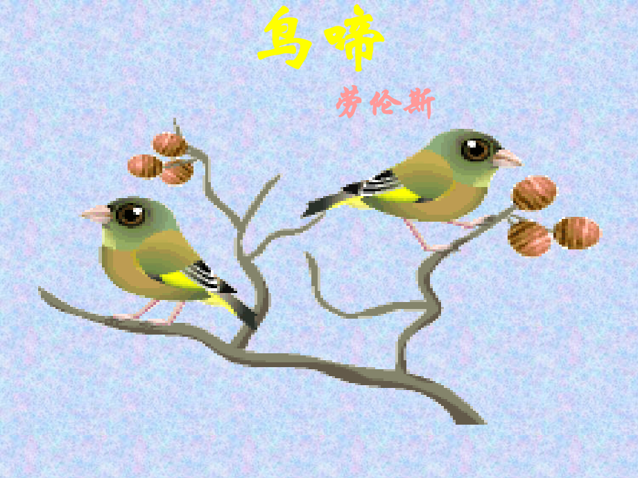 《鸟啼》课件.ppt_第1页