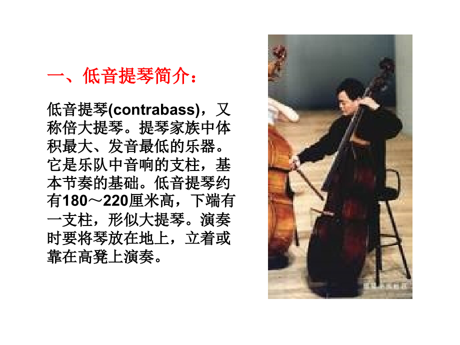 第七讲“弦乐器之低音提琴”.ppt_第2页
