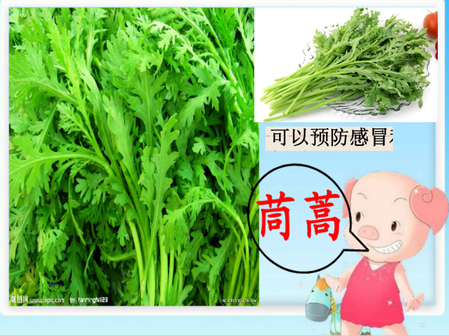 绿叶菜好处多.ppt_第2页