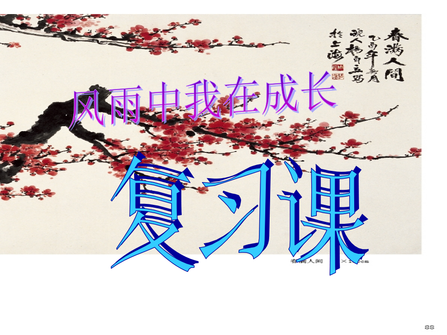 刘菲风雨中我在成长复习课.ppt_第1页