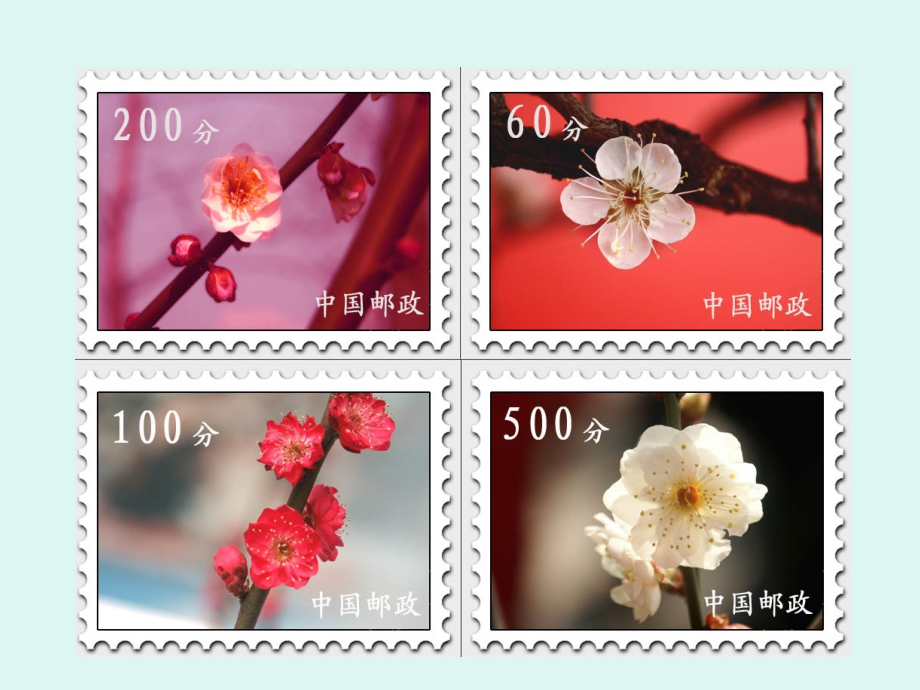 邮票的张数课件.ppt秋英.ppt_第1页