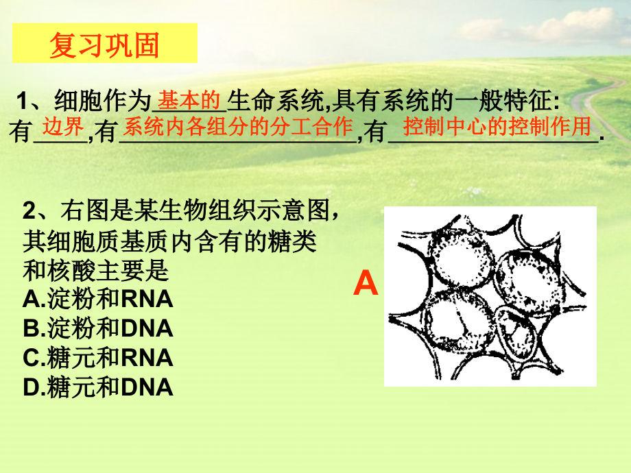 高中生物《第四章-第一节-物质跨膜运输的实例》课件2-新人教版必修1.ppt_第1页
