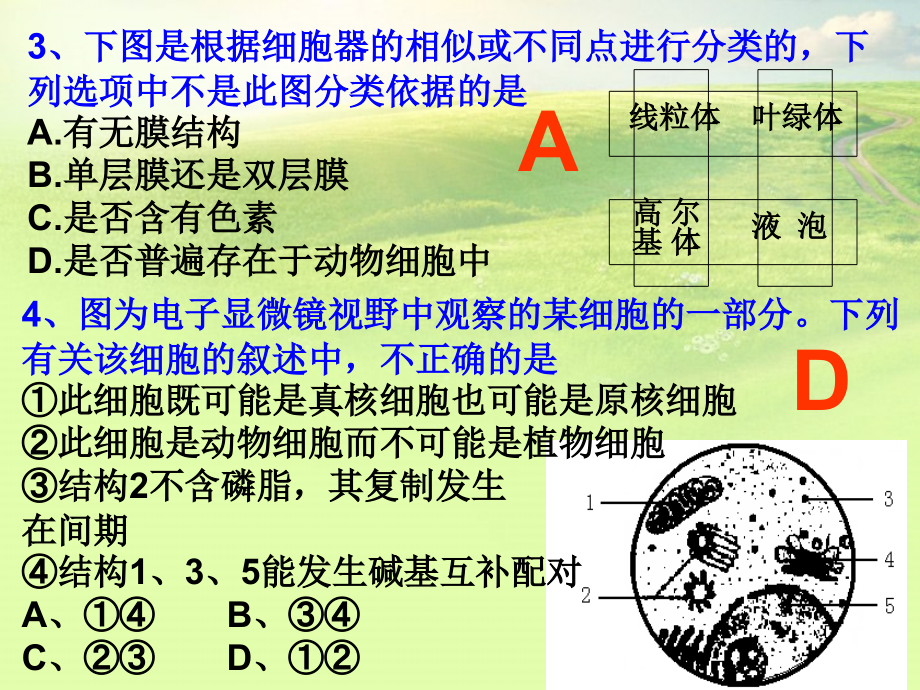 高中生物《第四章-第一节-物质跨膜运输的实例》课件2-新人教版必修1.ppt_第2页